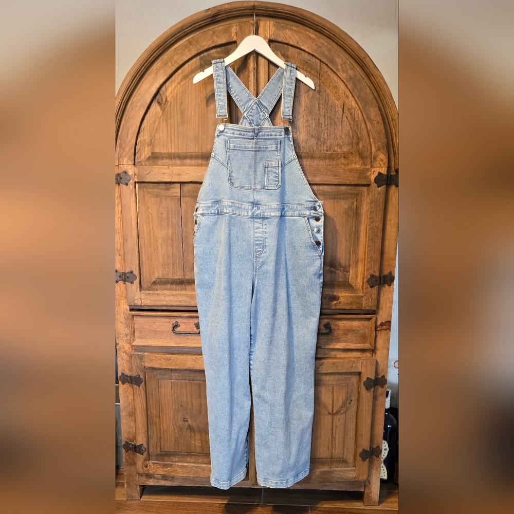 Lane Bryant Light Blue Wide Leg Overalls